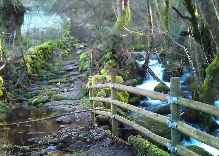 Arume * Боведа